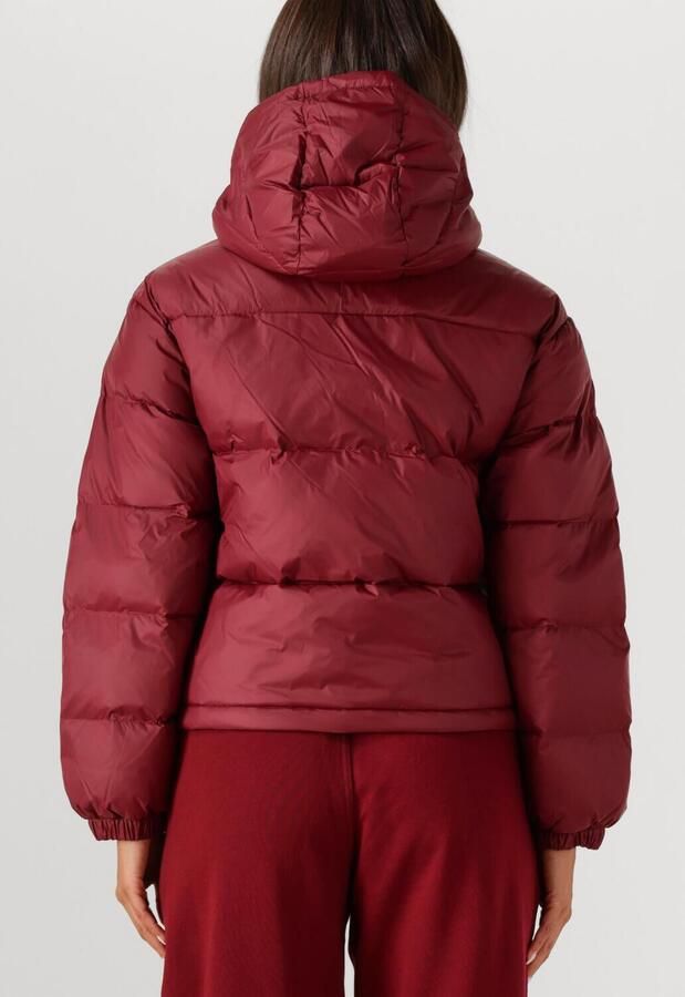 Calvin Klein Jeans Regular fit gewatteerd jack met logoprint model 'Midweight' - Foto 3