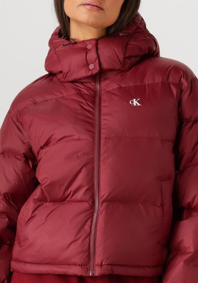 Calvin Klein Jeans Regular fit gewatteerd jack met logoprint model 'Midweight' - Foto 2