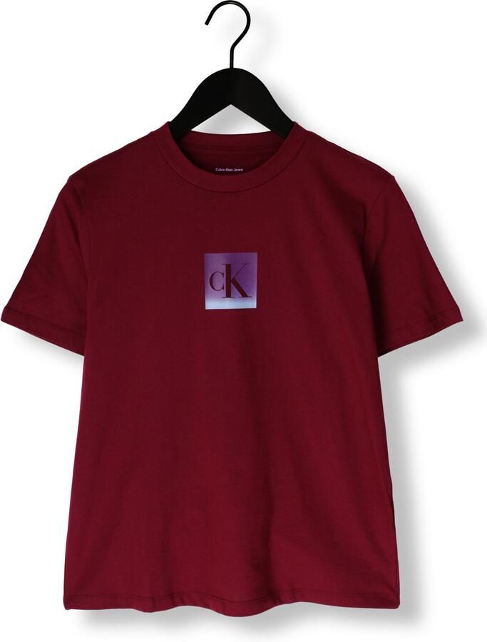 CALVIN KLEIN Dames Tops & T-shirts Ss Classic Fit Tee Bordeaux