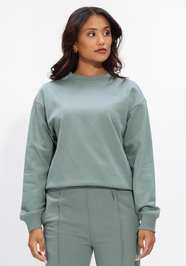 CALVIN KLEIN Dames Truien & Vesten Ls Archive Logo French Terry Rlx Mint