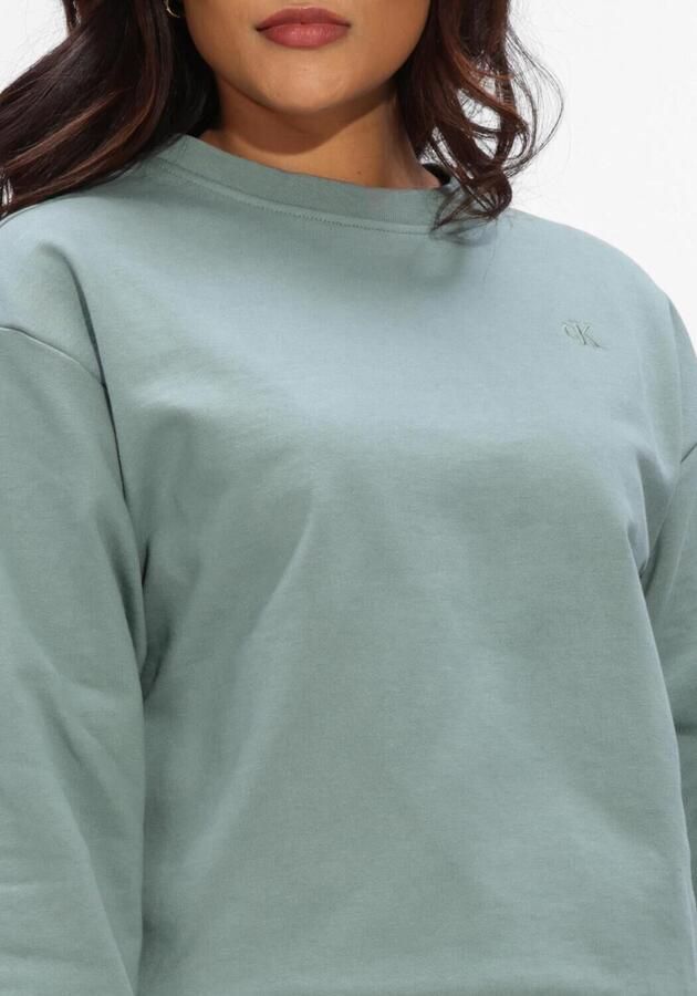 CALVIN KLEIN Dames Truien & Vesten Ls Archive Logo French Terry Rlx Mint - Foto 4