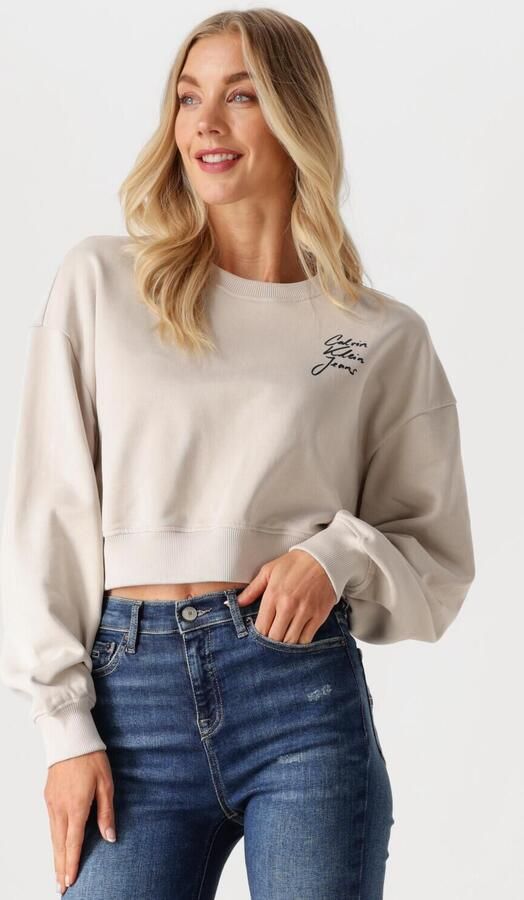 CALVIN KLEIN Dames Truien & Vesten Script Institutional Crewneck Beige - Foto 4