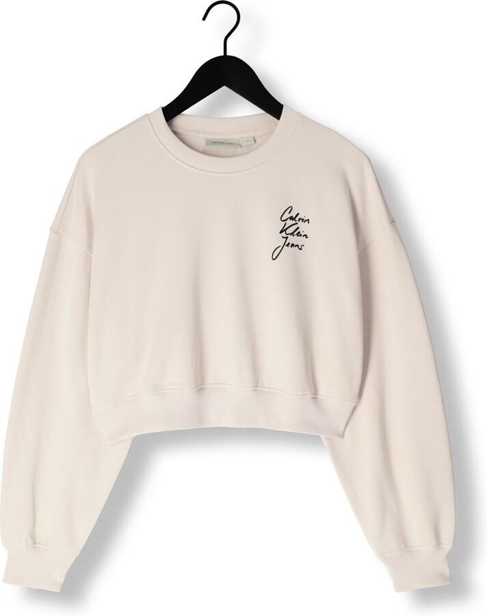 CALVIN KLEIN Dames Truien & Vesten Script Institutional Crewneck Beige