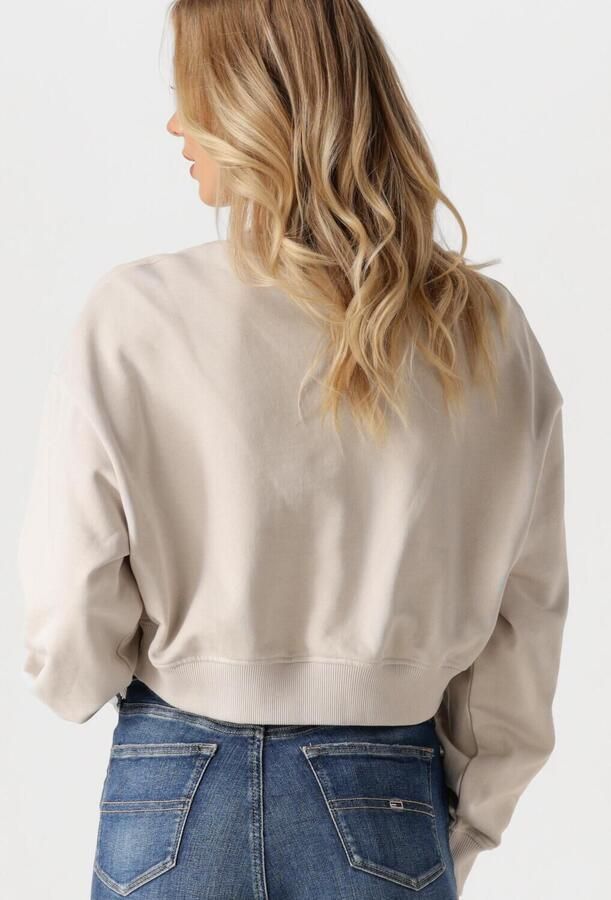 CALVIN KLEIN Dames Truien & Vesten Script Institutional Crewneck Beige - Foto 3