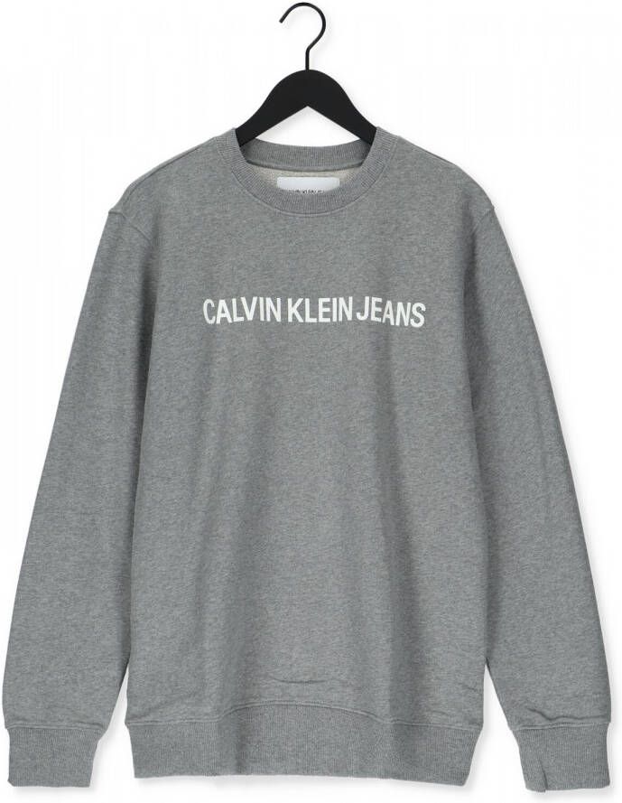CALVIN KLEIN Heren Truien & Vesten Core Institutional L Grijs