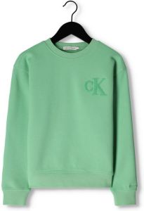 Calvin Klein Groene Sweater Interlock Pique Sweatshirt