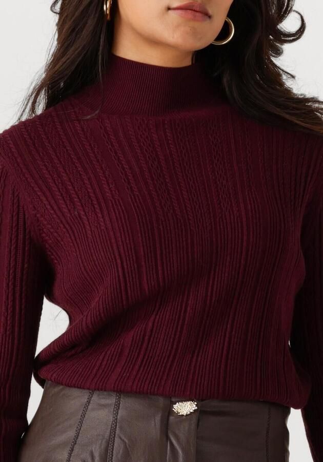 CAROLINE BISS Dames Truien & Vesten 4200 Bordeaux - Foto 2