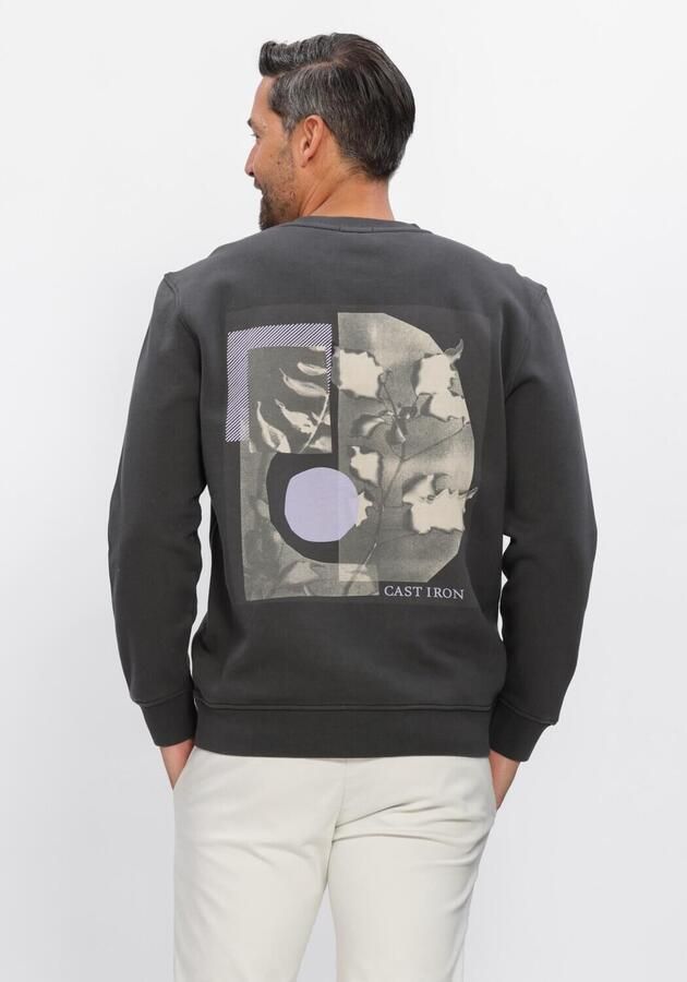 CAST IRON Heren Truien & Vesten Relaxed Fit Graphic Donkergrijs