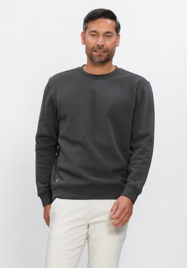 CAST IRON Heren Truien & Vesten Relaxed Fit Graphic Donkergrijs - Foto 3