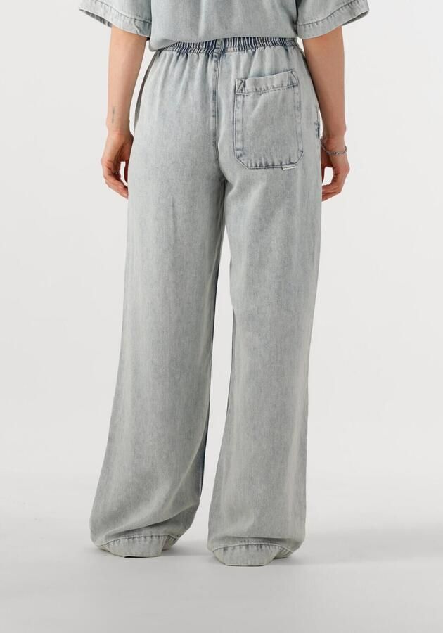 CATWALK JUNKIE Dames Broeken Denim Jogger Lichtgrijs