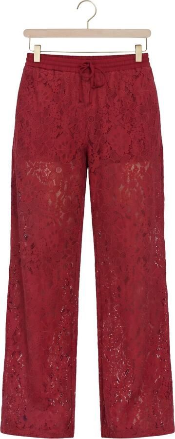CATWALK JUNKIE Dames Broeken Pull On Lace Trousers Bordeaux - Foto 4