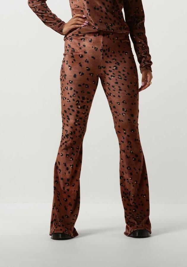Catwalk Junkie Flared Bruine Broek Megan Brown Dames - Foto 3