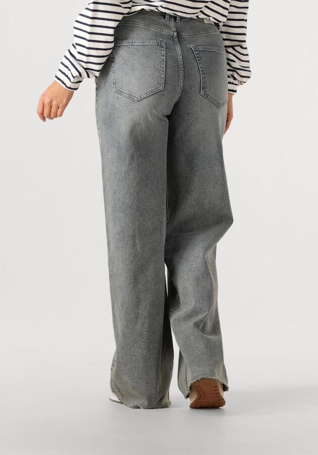 CATWALK JUNKIE Dames Jeans Loose Fit Jeans Grijs - Foto 2