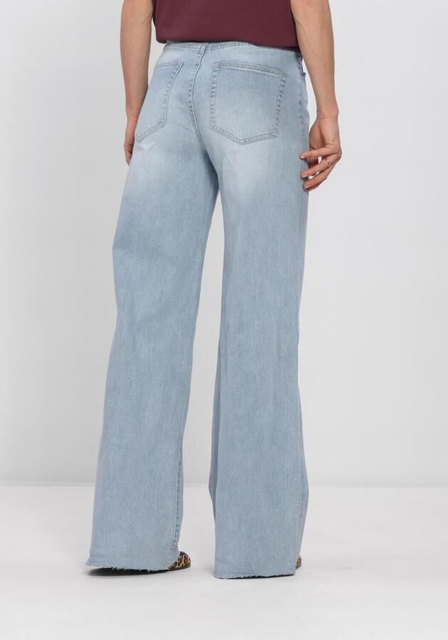 CATWALK JUNKIE Dames Jeans Loose Fit Jeans Lichtblauw - Foto 2