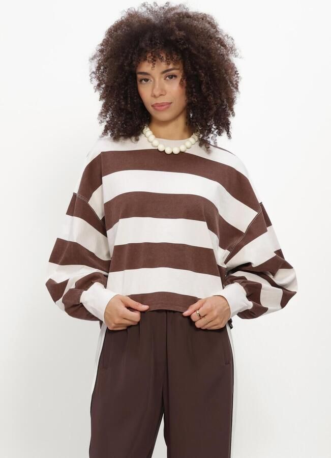 CATWALK JUNKIE Dames Tops & T-shirts Oversized Striped Long Sleeve Bruin