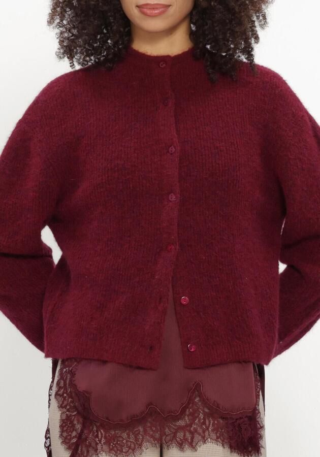 CATWALK JUNKIE Dames Truien & Vesten Cardigan Bordeaux - Foto 3