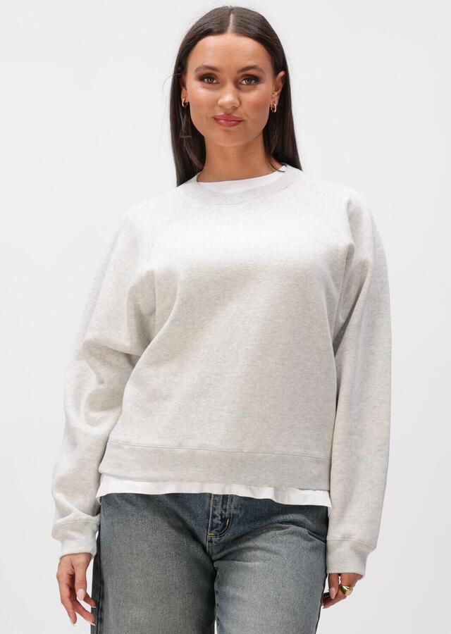CATWALK JUNKIE Dames Truien & Vesten Graphic Sweater Lichtgrijs