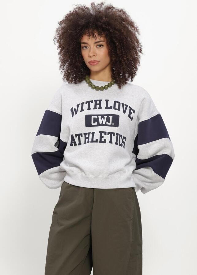 CATWALK JUNKIE Dames Truien & Vesten Sporty Graphic Sweater Grijs