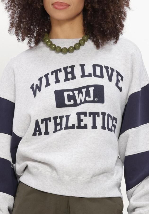 CATWALK JUNKIE Dames Truien & Vesten Sporty Graphic Sweater Grijs - Foto 4