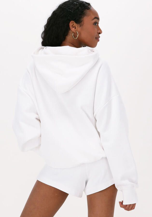 CHAMPION Dames Truien & Vesten Hooded Sweatshirt Dms Plain Wit