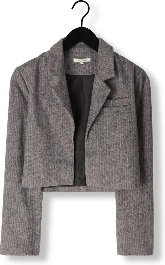 CIRCLE OF TRUST Dames Blazers Laura Blazer Grijs - Foto 3