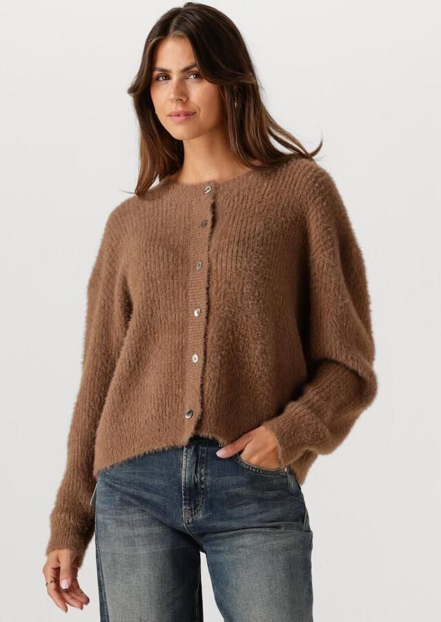 CIRCLE OF TRUST Dames Truien & Vesten Audrey Cardigan Bruin - Foto 4