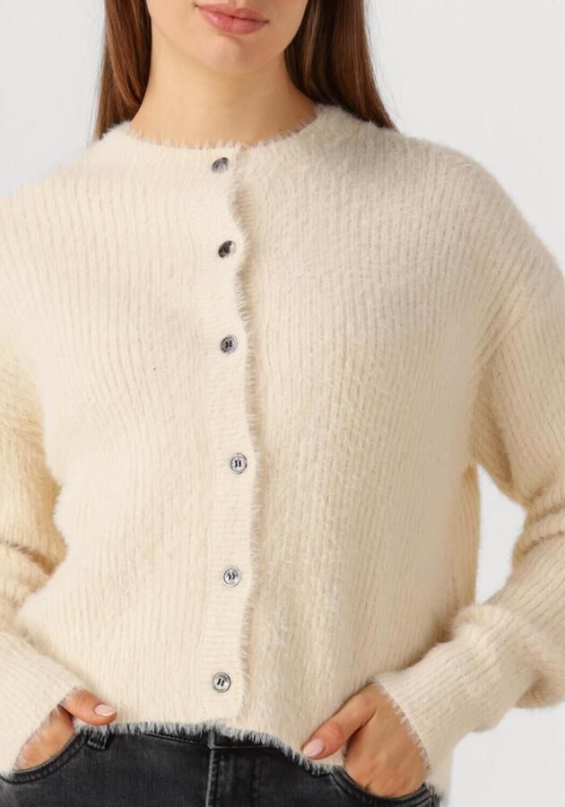 CIRCLE OF TRUST Dames Truien & Vesten Audrey Cardigan Gebroken Wit - Foto 2