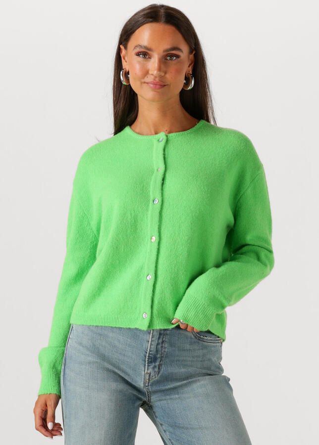 CIRCLE OF TRUST Dames Truien & Vesten Bodi Cardigan Groen - Foto 4
