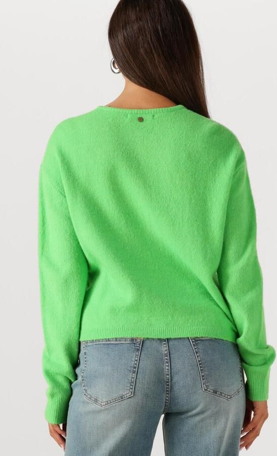 CIRCLE OF TRUST Dames Truien & Vesten Bodi Cardigan Groen - Foto 3