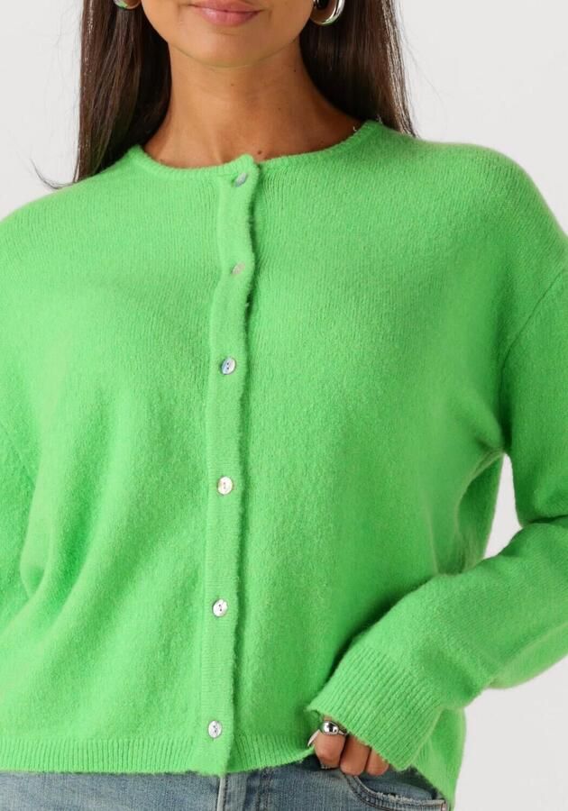 CIRCLE OF TRUST Dames Truien & Vesten Bodi Cardigan Groen - Foto 2