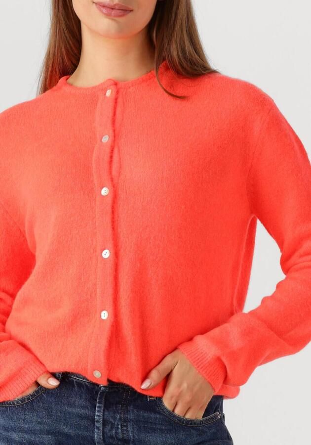 CIRCLE OF TRUST Dames Truien & Vesten Bodi Cardigan Oranje - Foto 2