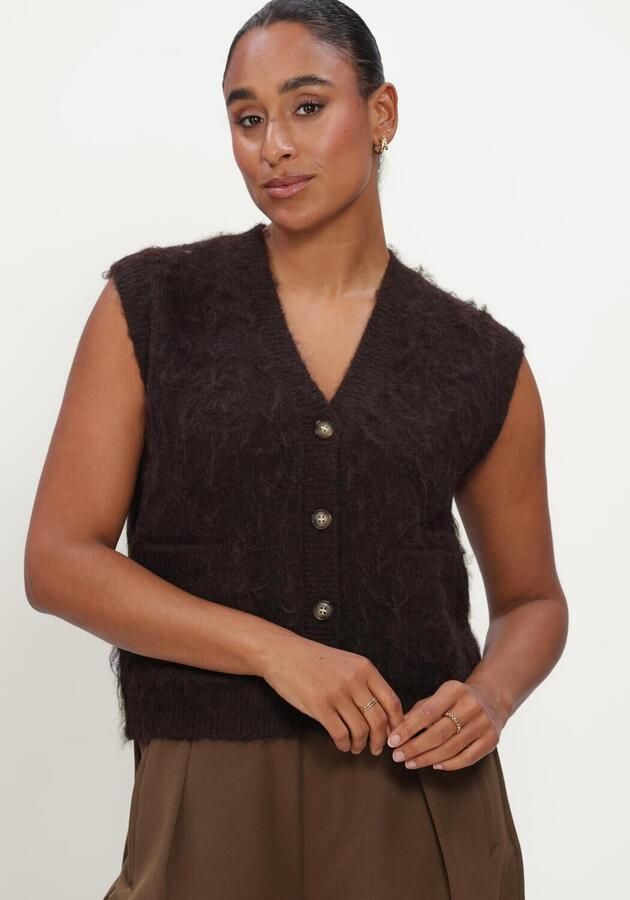 CIRCLE OF TRUST Dames Truien & Vesten Fauve Knit Bruin - Foto 3