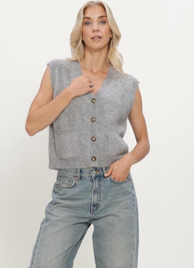 CIRCLE OF TRUST Dames Truien & Vesten Fauve Knit Grijs