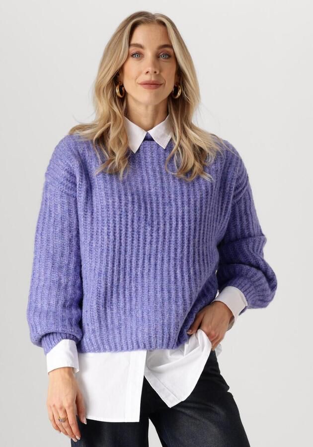 CIRCLE OF TRUST Dames Truien & Vesten Joelle Knit Blauw - Foto 4