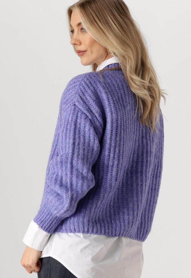 CIRCLE OF TRUST Dames Truien & Vesten Joelle Knit Blauw - Foto 3