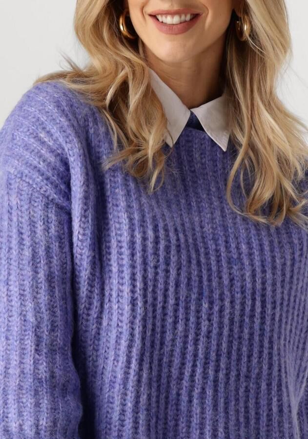 CIRCLE OF TRUST Dames Truien & Vesten Joelle Knit Blauw - Foto 2