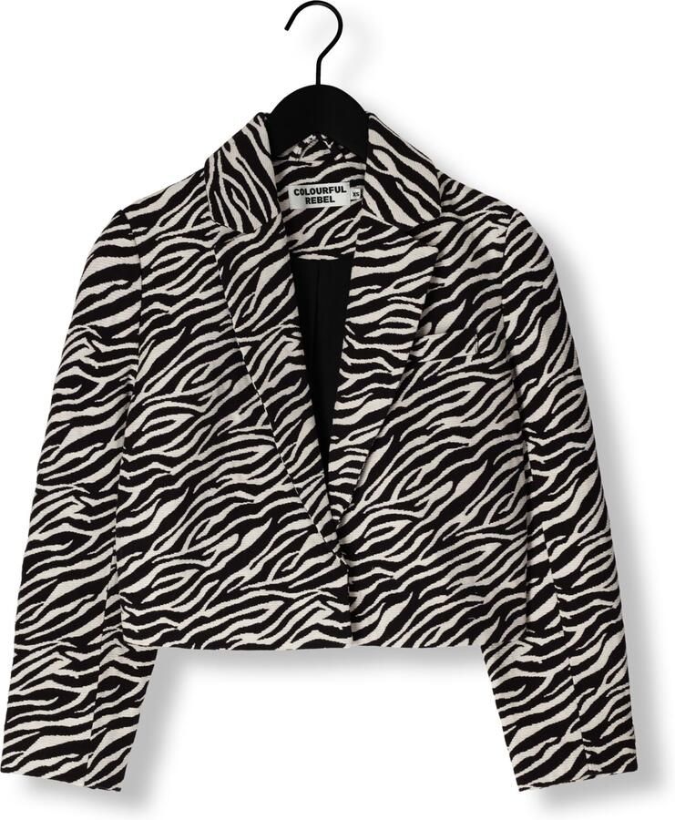 COLOURFUL REBEL Dames Blazers Dente Zebra Jacquard Blazer Grijs