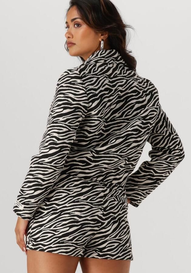 COLOURFUL REBEL Dames Blazers Dente Zebra Jacquard Blazer Grijs - Foto 3