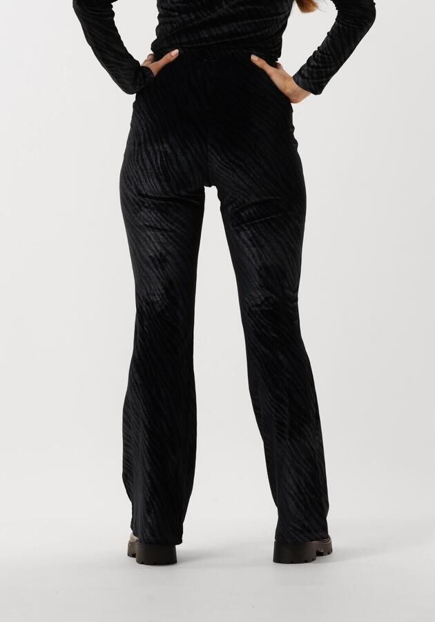 COLOURFUL REBEL Dames Broeken Jolie Zebra Velvet Flare Blauw