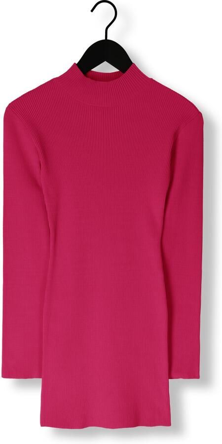 COLOURFUL REBEL Dames Jurken Aspen High Neck Knitted Mini Dress Roze - Foto 2
