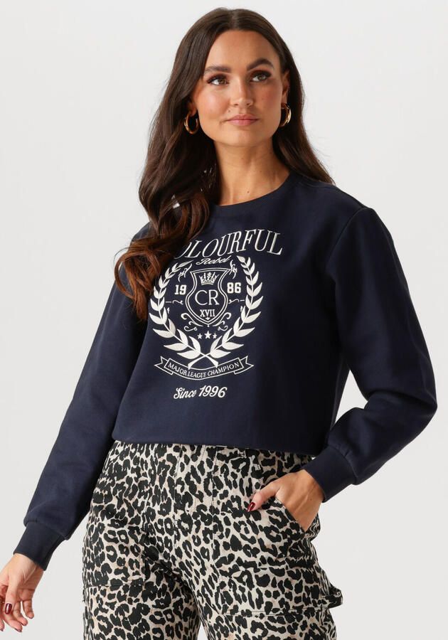 COLOURFUL REBEL Dames Truien & Vesten College 1986 Embro Relaxed Sweat Blauw - Foto 4