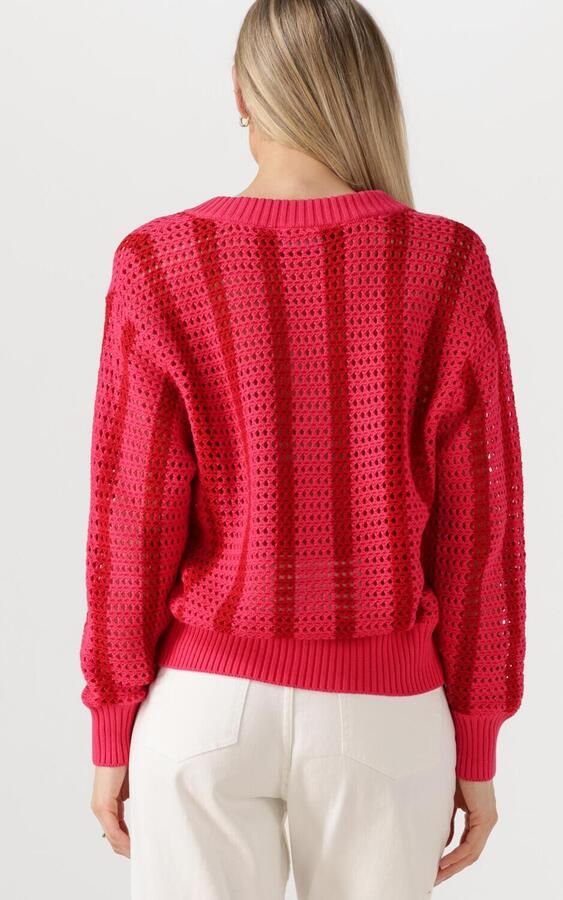 COLOURFUL REBEL Dames Truien & Vesten Lizza Crochet Stripe V-neck Sweater Rood - Foto 3