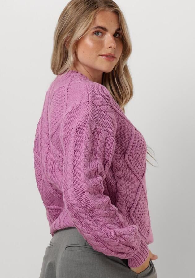COLOURFUL REBEL Dames Truien & Vesten Olivia Cable Knitweat Sweater Roze
