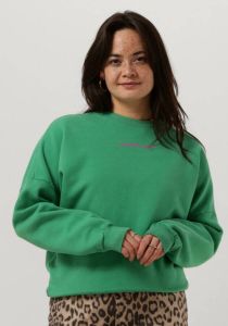Colourful rebel Groene Sweater Cr Back Logo WAsh Dropped Shoulder Sweat