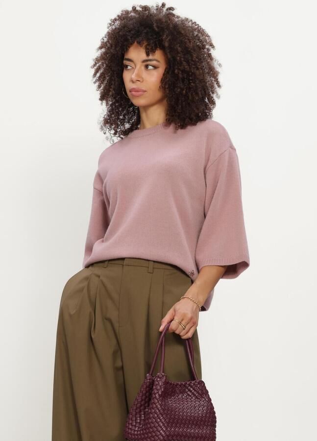 COPENHAGEN MUSE Dames Tops & T-shirts Cmsienna-pullover Roze