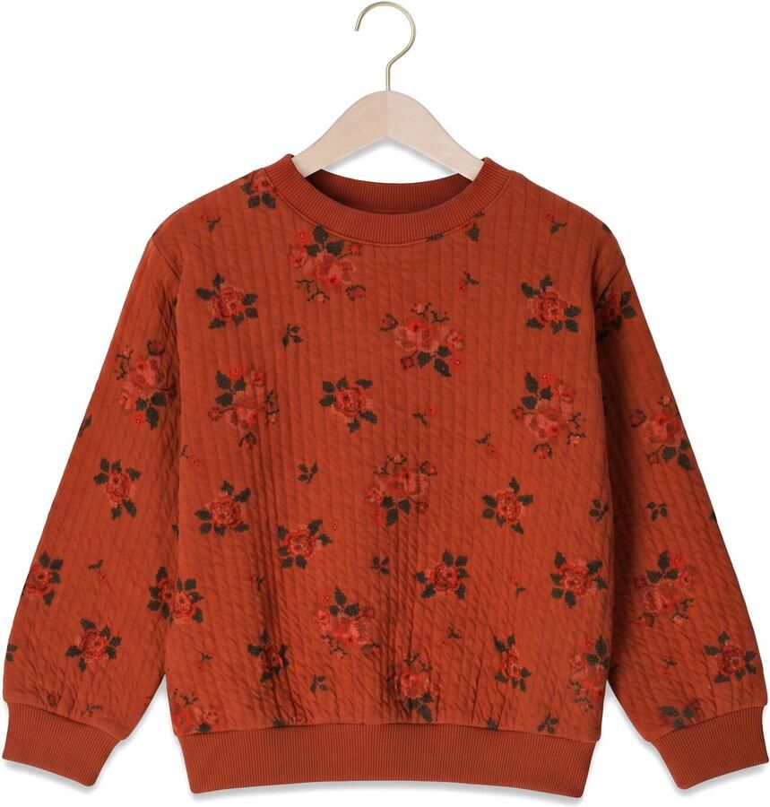 COZMO Meisjes Truien & Vesten Celiak245w6 Rood