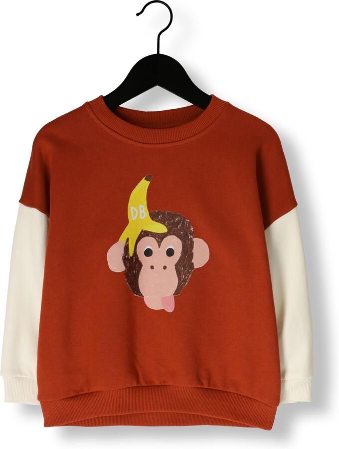 DAILY BRAT Jongens Truien & Vesten Funky Kong Sweater Bruin - Foto 3