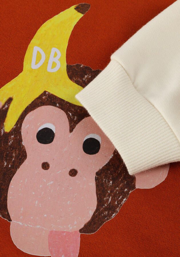 DAILY BRAT Jongens Truien & Vesten Funky Kong Sweater Bruin