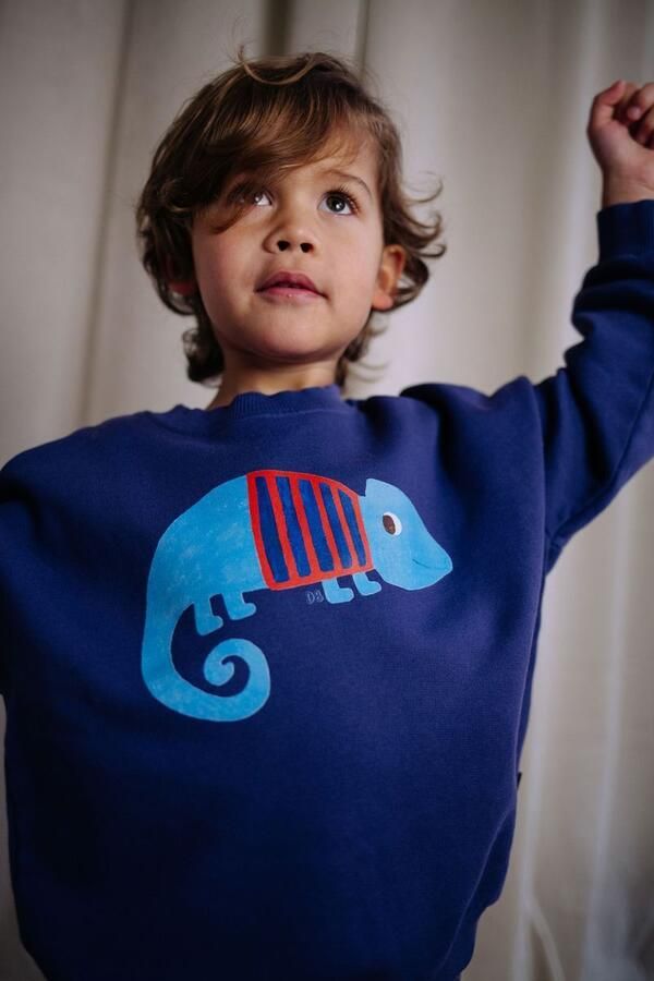 DAILY BRAT Jongens Truien & Vesten Sir Blend-a-lot Sweater Paars - Foto 2