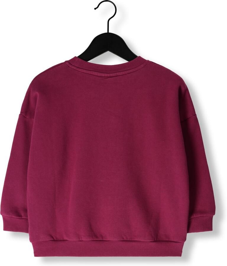 DAILY BRAT Jongens Truien & Vesten Wobble Totem Sweater Bordeaux